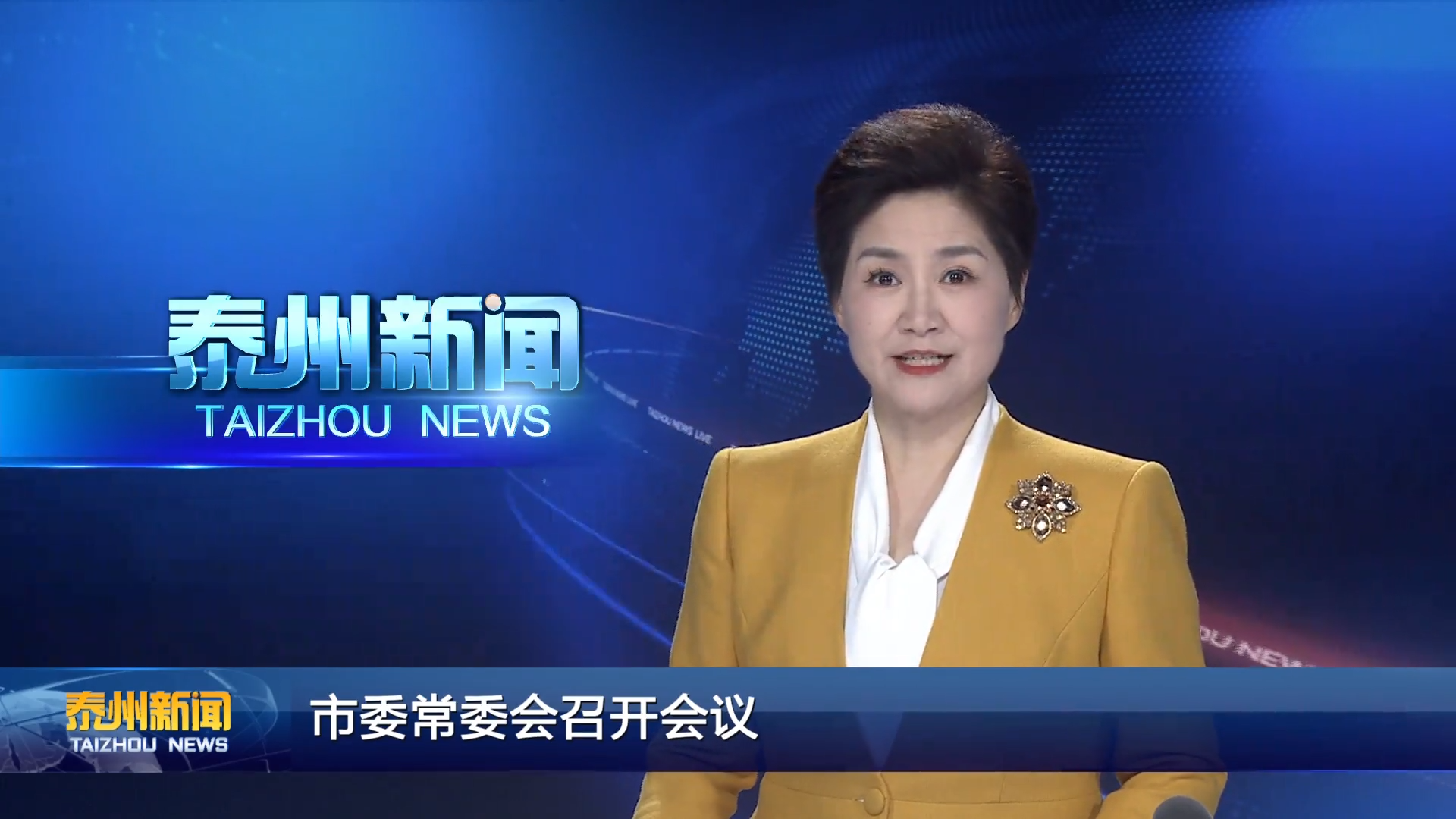 市委常委会召开会议